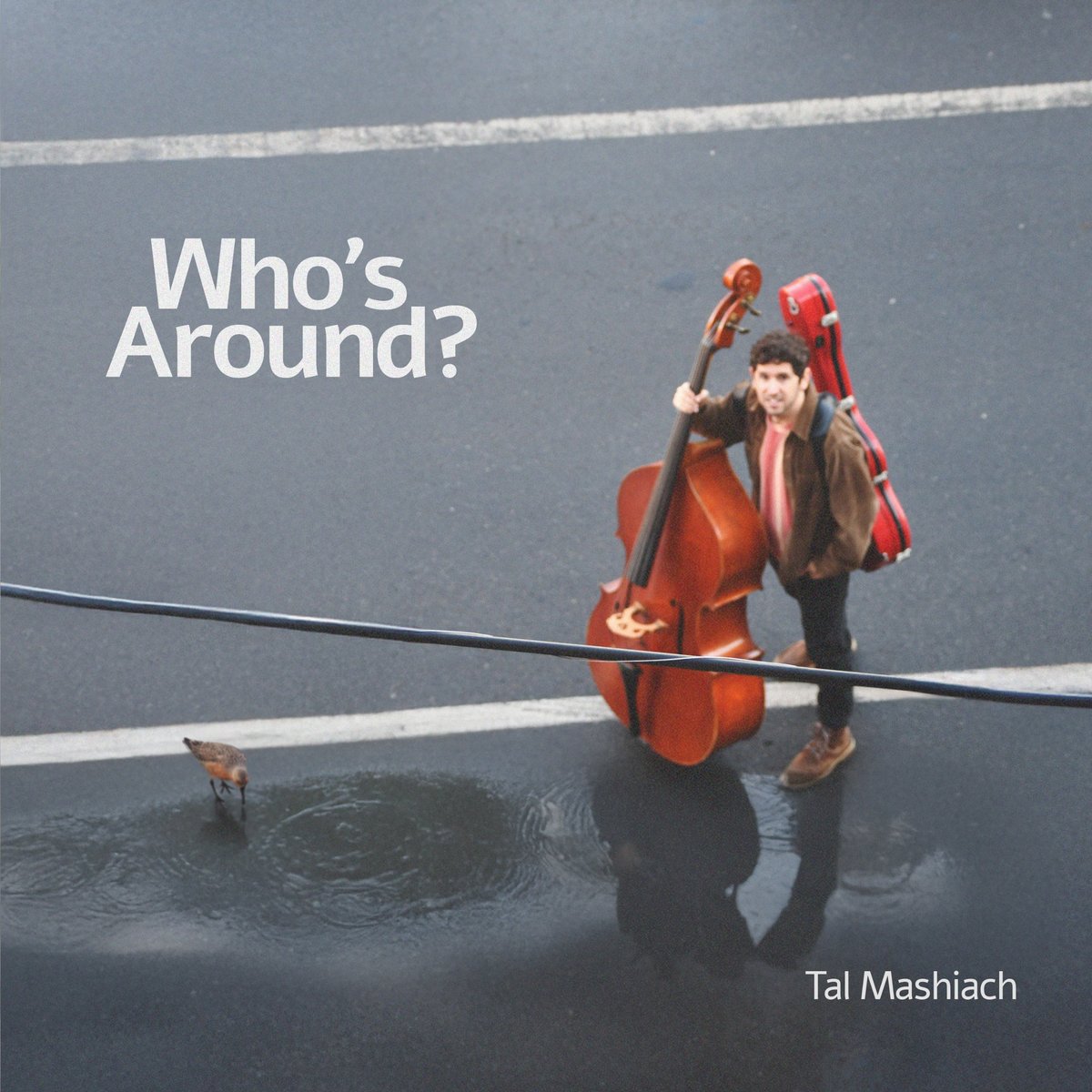Who’s Around? album cover